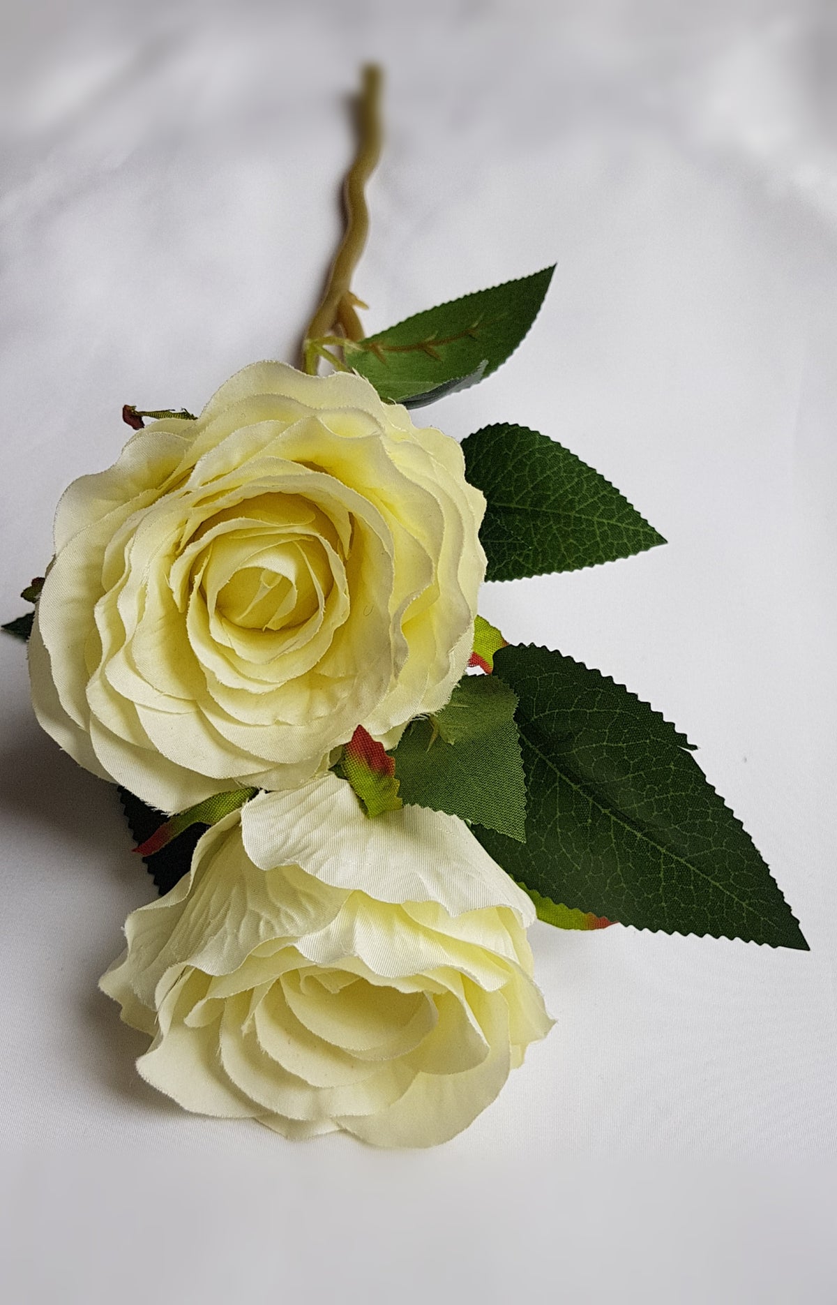 Silk Ivory Rose