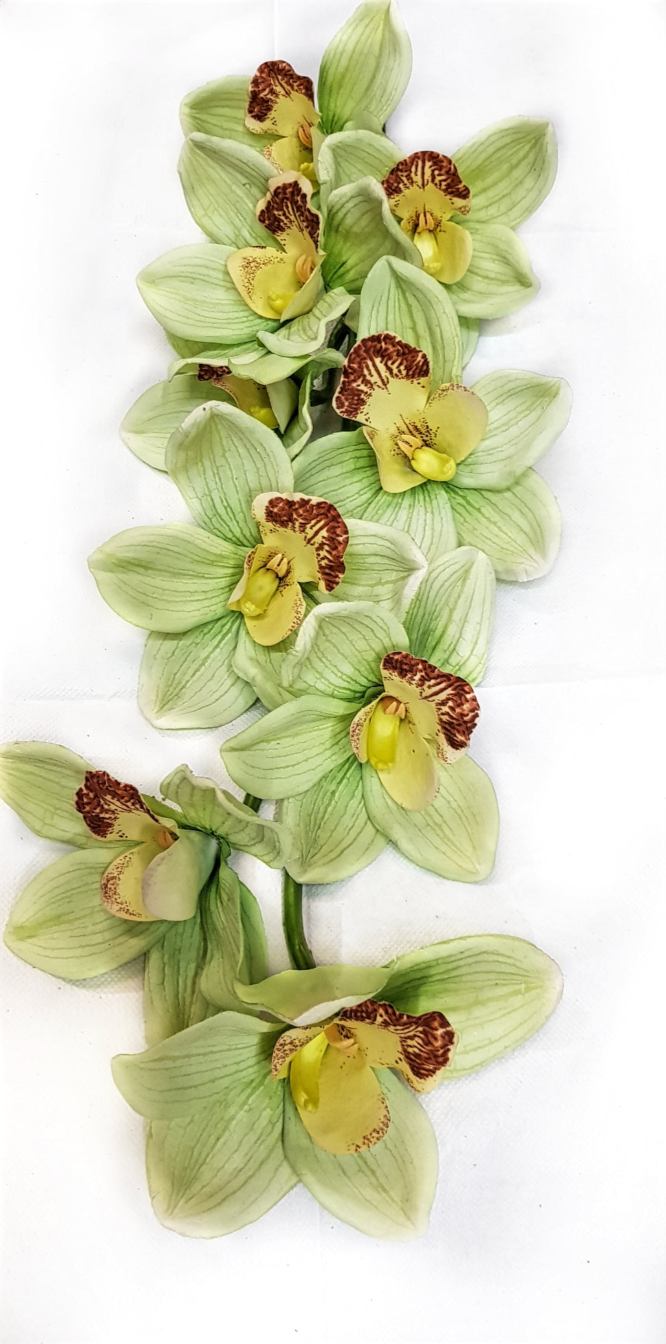 Cymbidium Orchid Faux Flowers in Tall Cylinder Vase - FaithandFlora